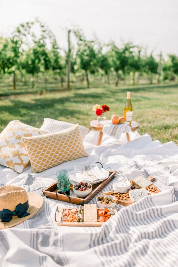 Picnic Ideas For Family