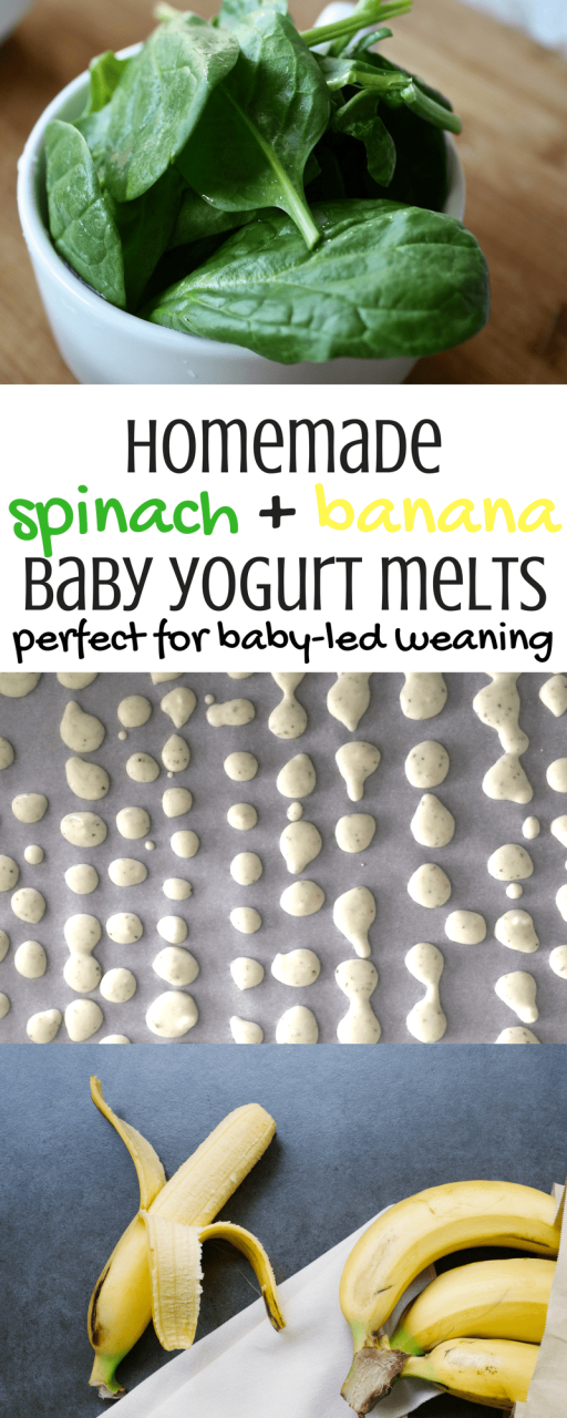 Healthy Homemade Snacks For Baby
