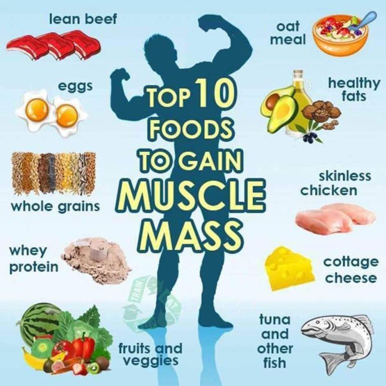 Healthy Foods For Weight Loss And Muscle Gain