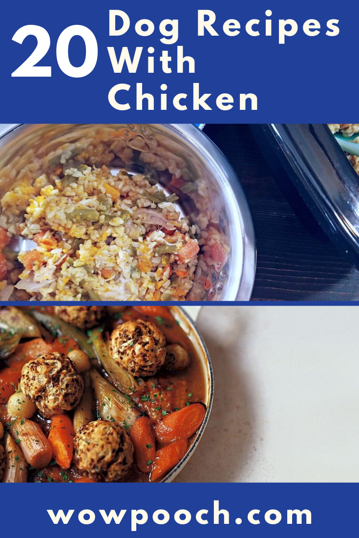 Healthy Dog Food Recipes With Chicken