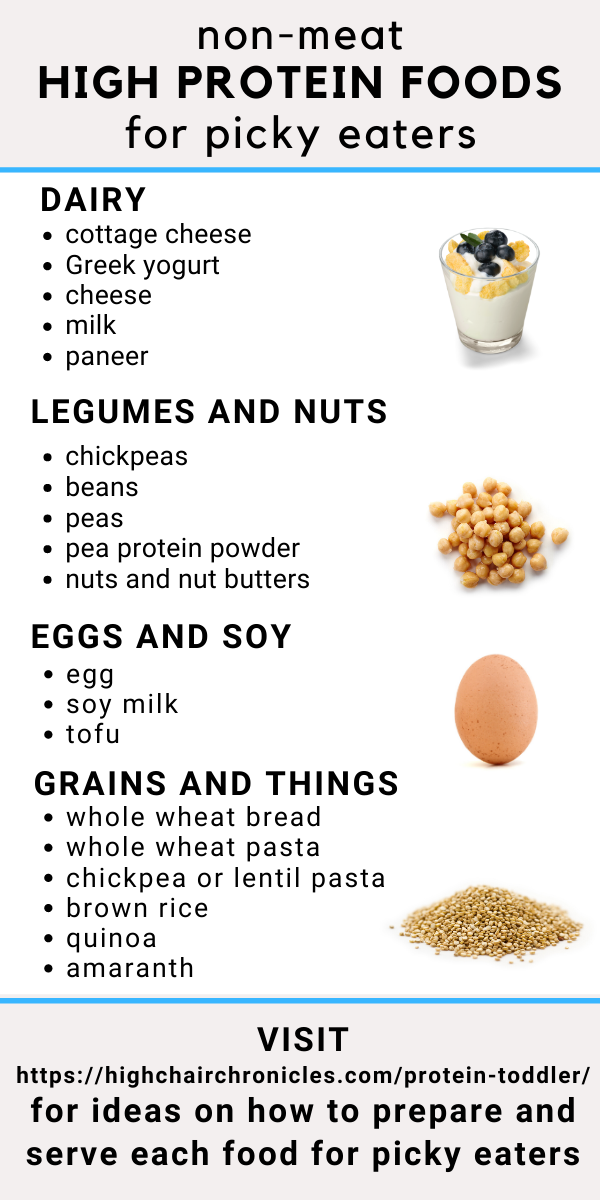 Protein Rich Breakfast Ideas For Toddlers
