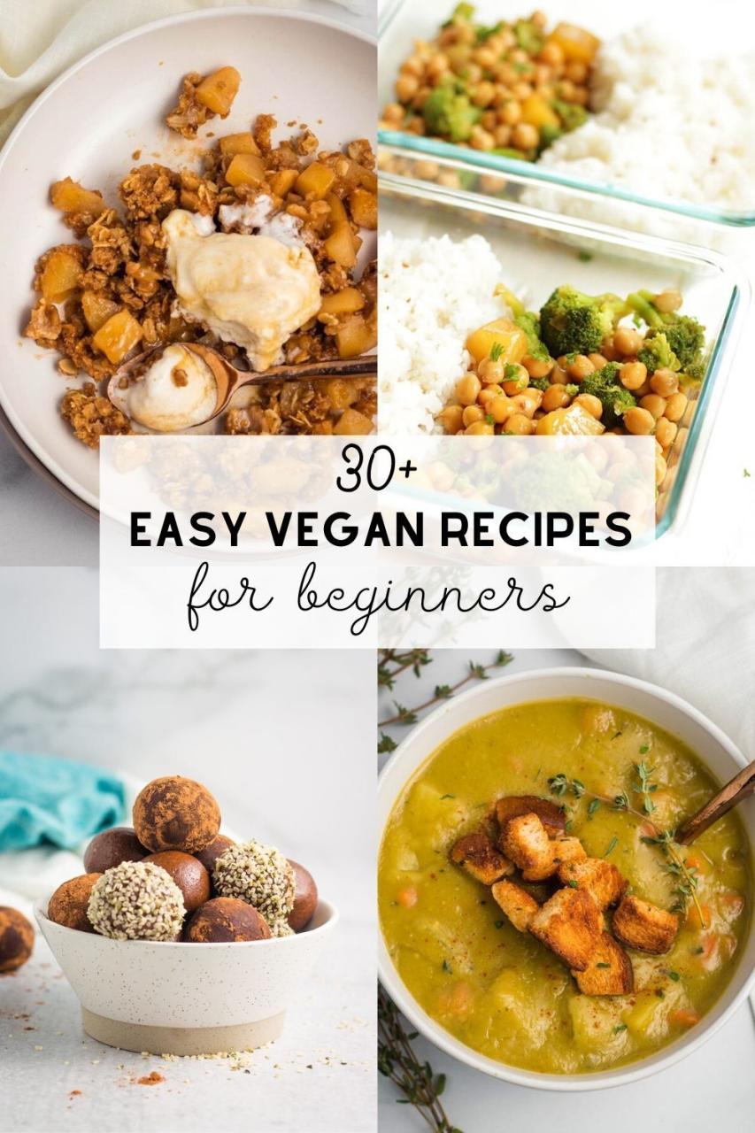 Quick Easy Vegan Foods Recipes