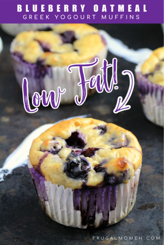 Low Fat Oatmeal Blueberry Muffins With Yogurt
