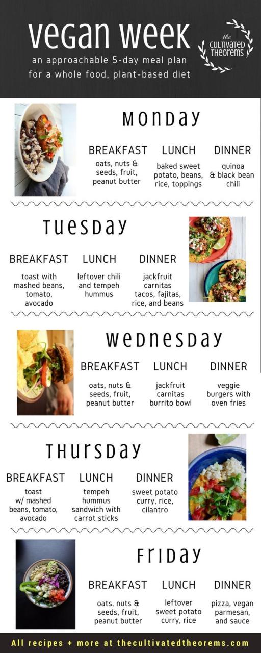 5 Day Healthy Meal Plan On A Budget