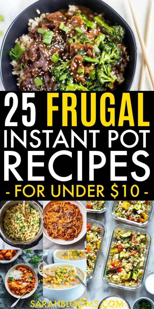 Healthy Budget Instant Pot Recipes