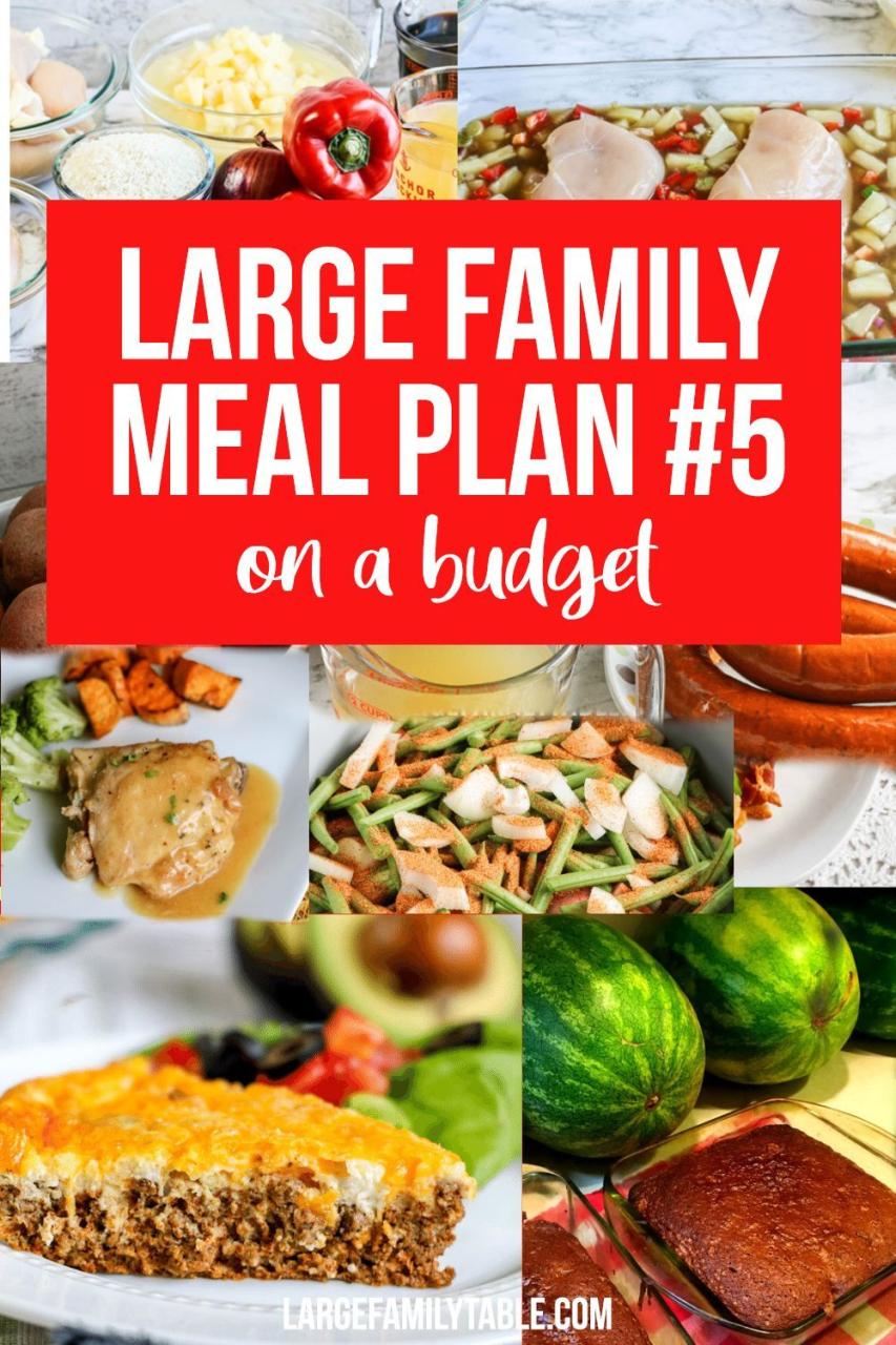Food Budget For Large Family