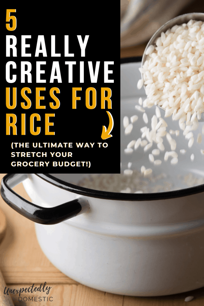 Cheap Healthy Rice Dishes