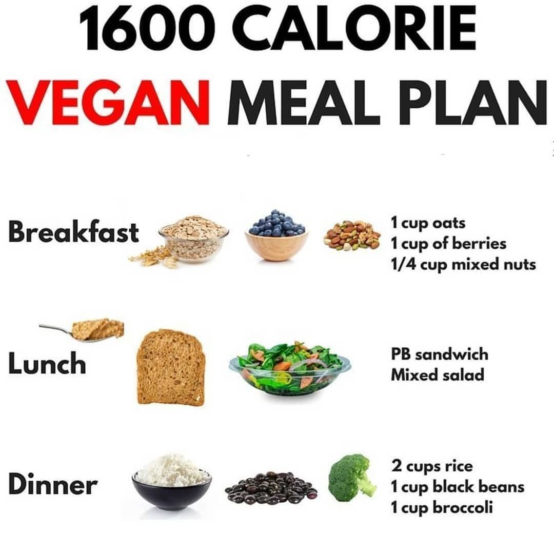 Low Calorie Meal Plans Easy