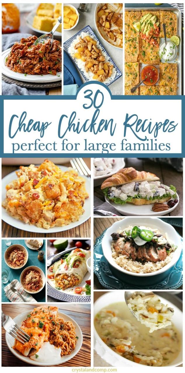 Recipes For Large Families On A Budget