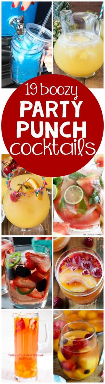 Simple And Cheap Cocktail Recipes