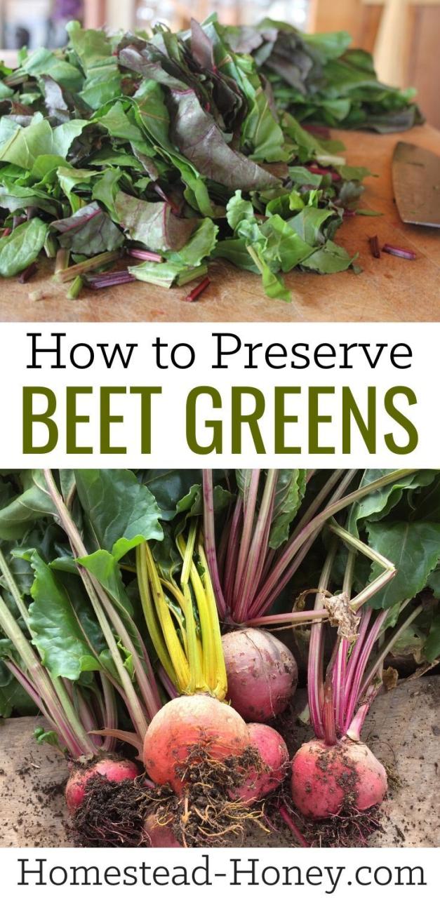 How To Cook Fresh Beets Leaves
