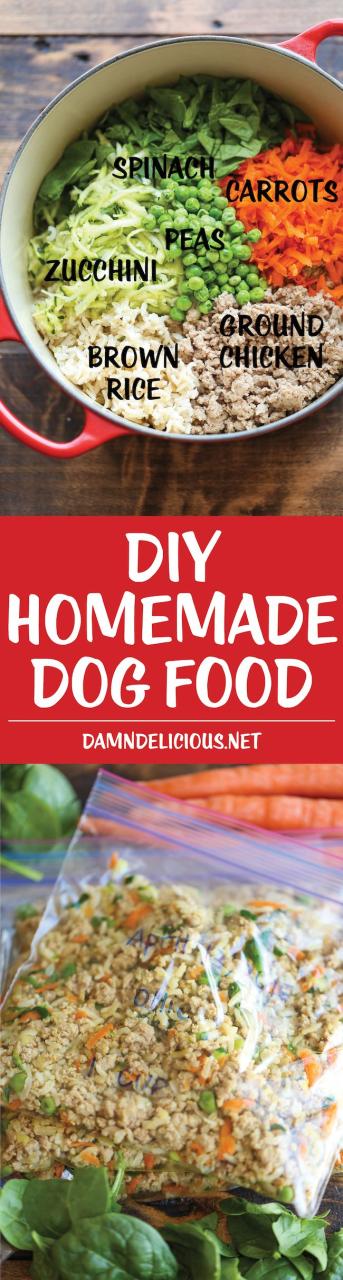 Low Cost Dog Food Recipes