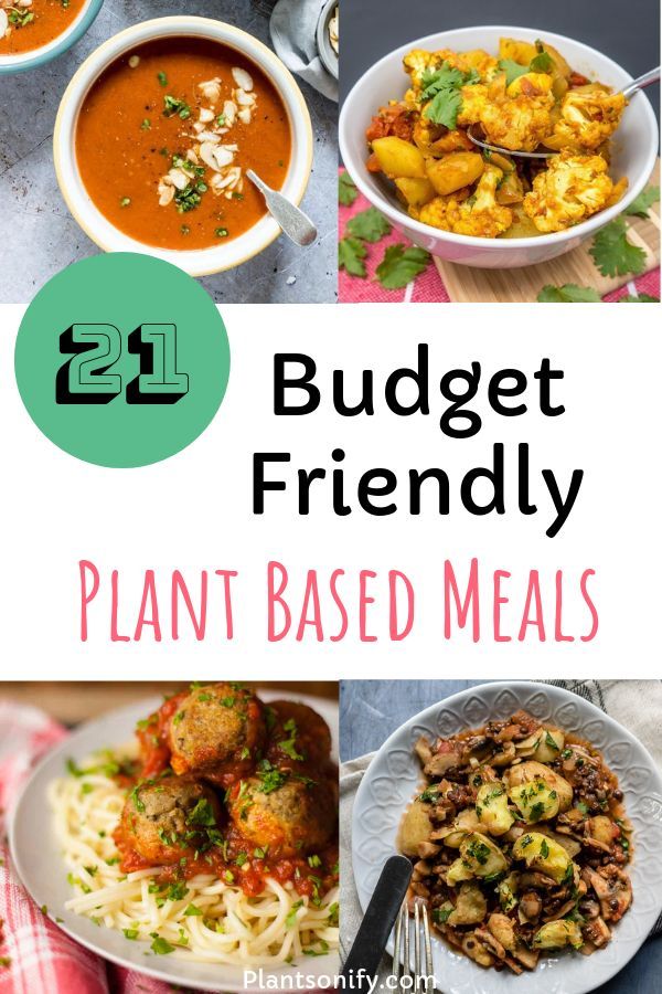Budget Friendly Plant Based Meals