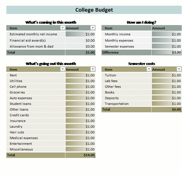 How Much Should A College Student Budget For Food Each Month