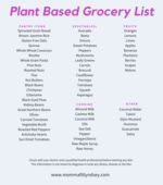 Budget Plant Based Meal Plan