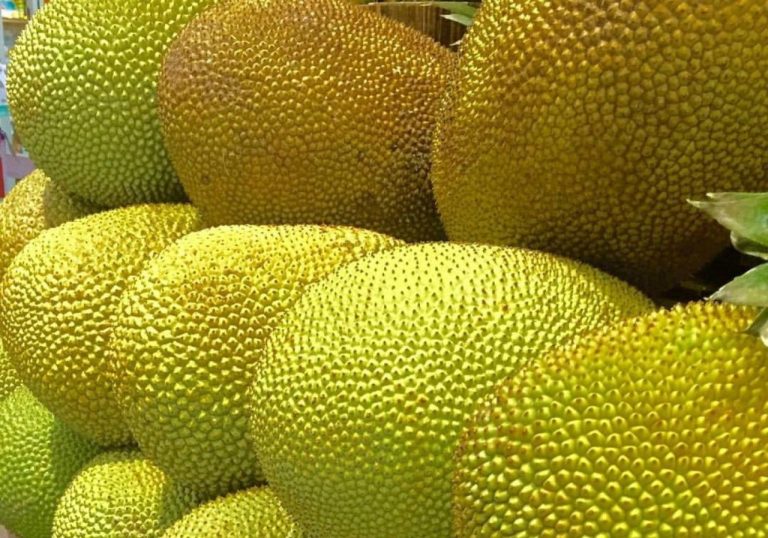 How To Cook Jackfruit From A Can