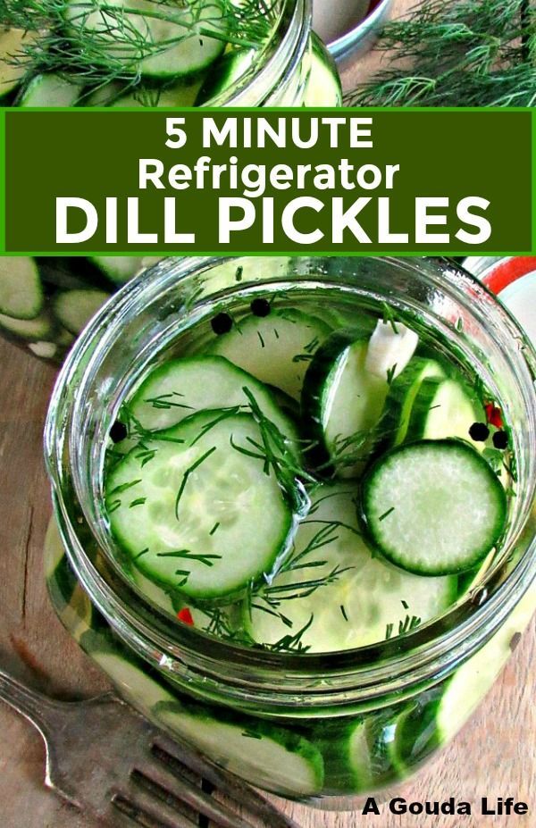 Refrigerator Pickles Dill