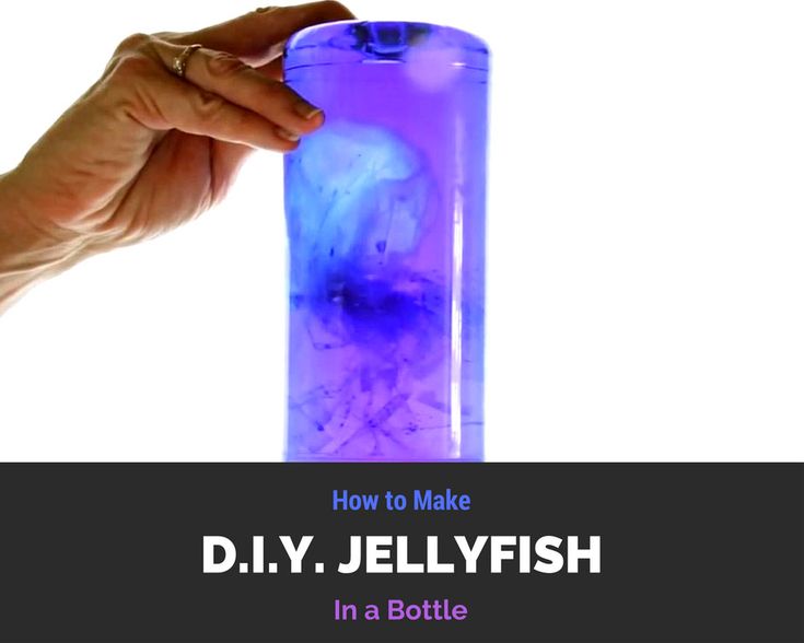 How To Cook Jellyfish