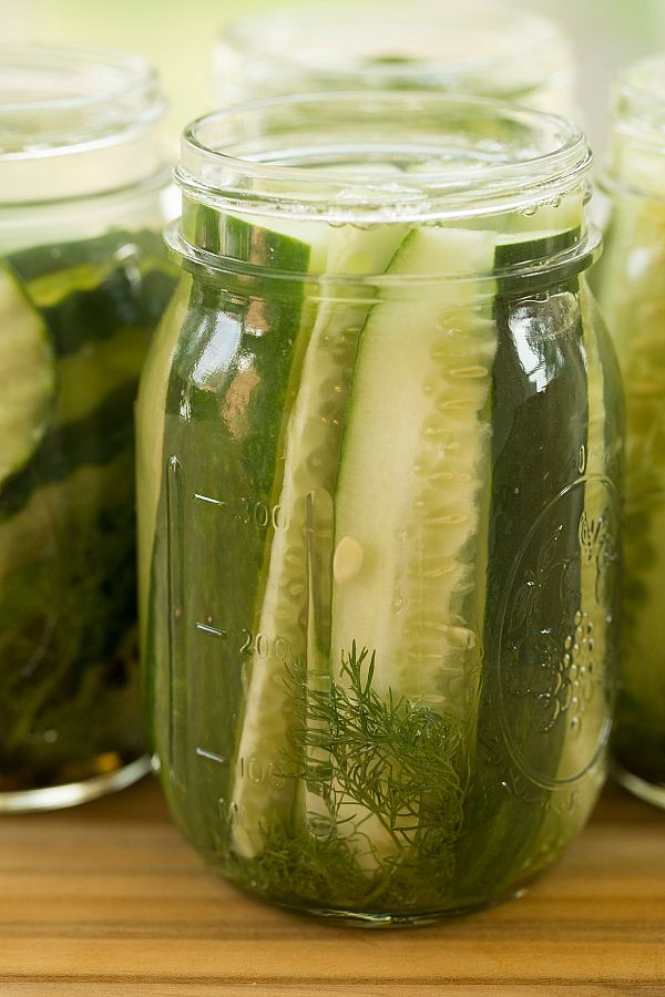 Refrigerator Pickles Recipe