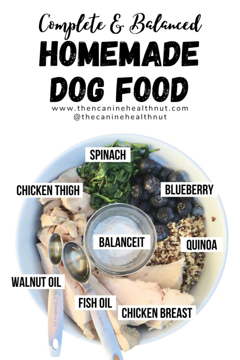 Cheap And Healthy Dog Food Recipes