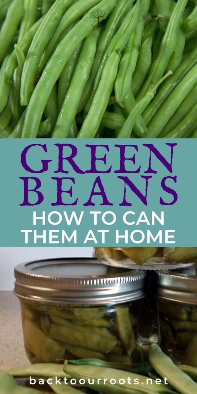 How To Cook Green Beans From A Can