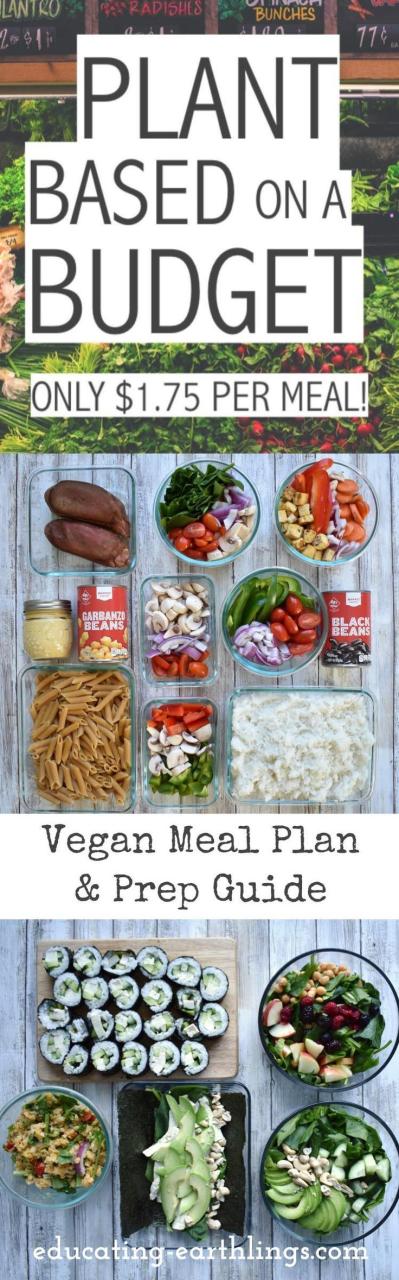 Cheap Plant Based Foods