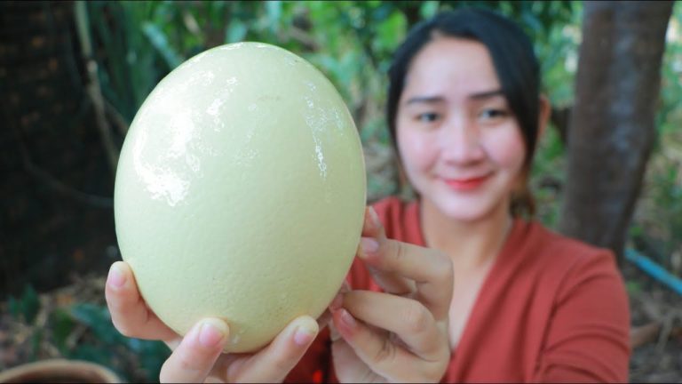 How To Cook An Ostrich Egg