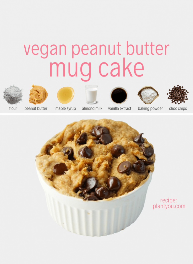 Healthy Mug Cake Recipe Vegan