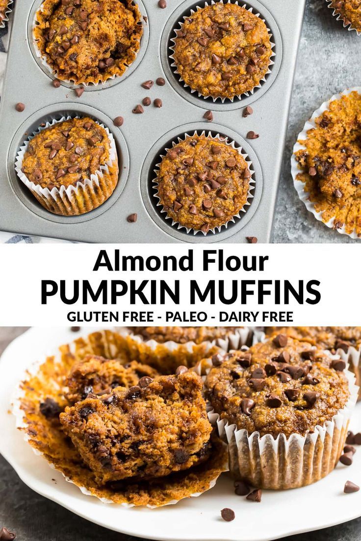 Healthy Pumpkin Muffin Recipe With Almond Flour