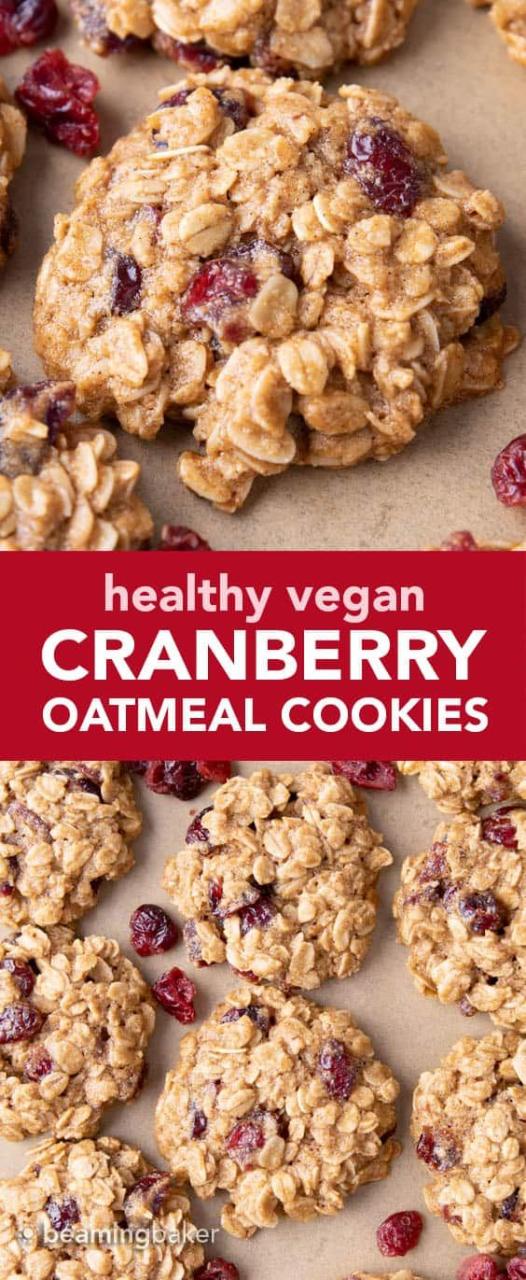 Vegan Gluten Free Oatmeal Cranberry Cookies