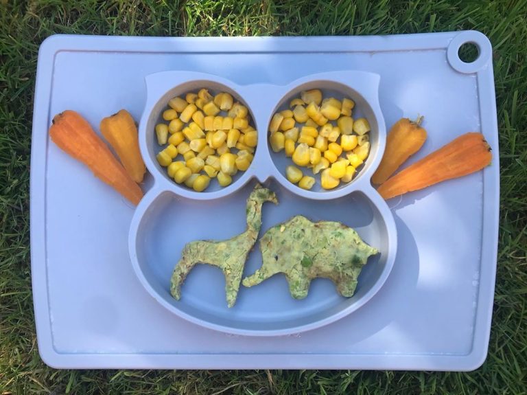 Baby Led Weaning Picnic Ideas