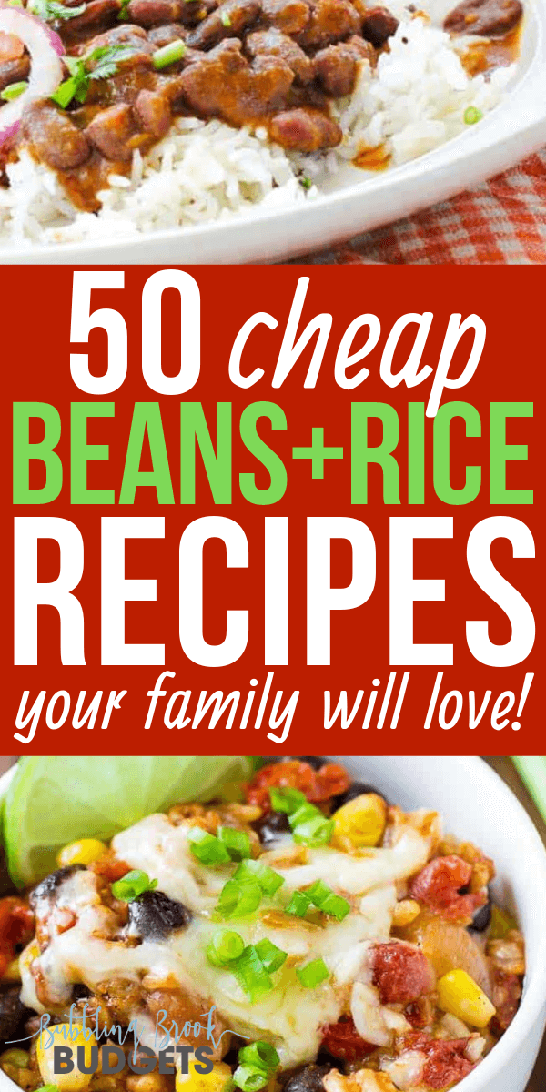 Budget Rice Meals