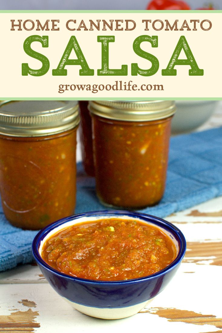 Salsa Sauce