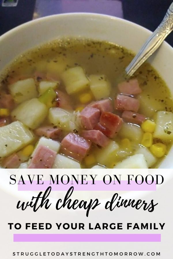 Cheap Dinner Ideas For Family Of 6