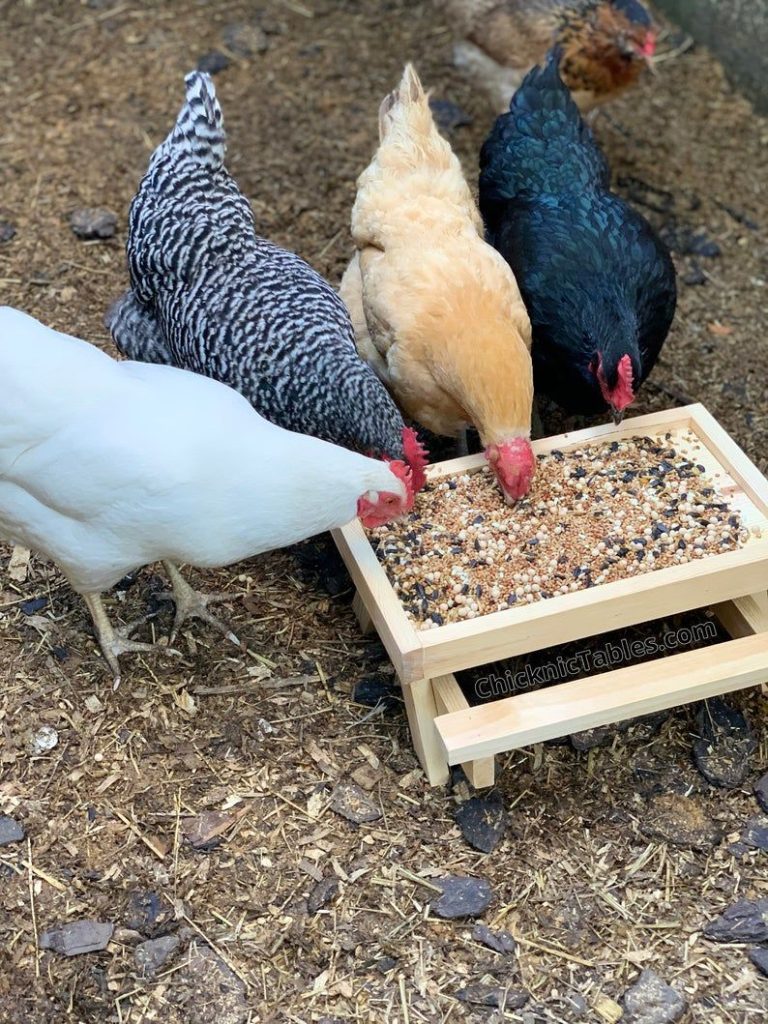 Chicken Picnic Table