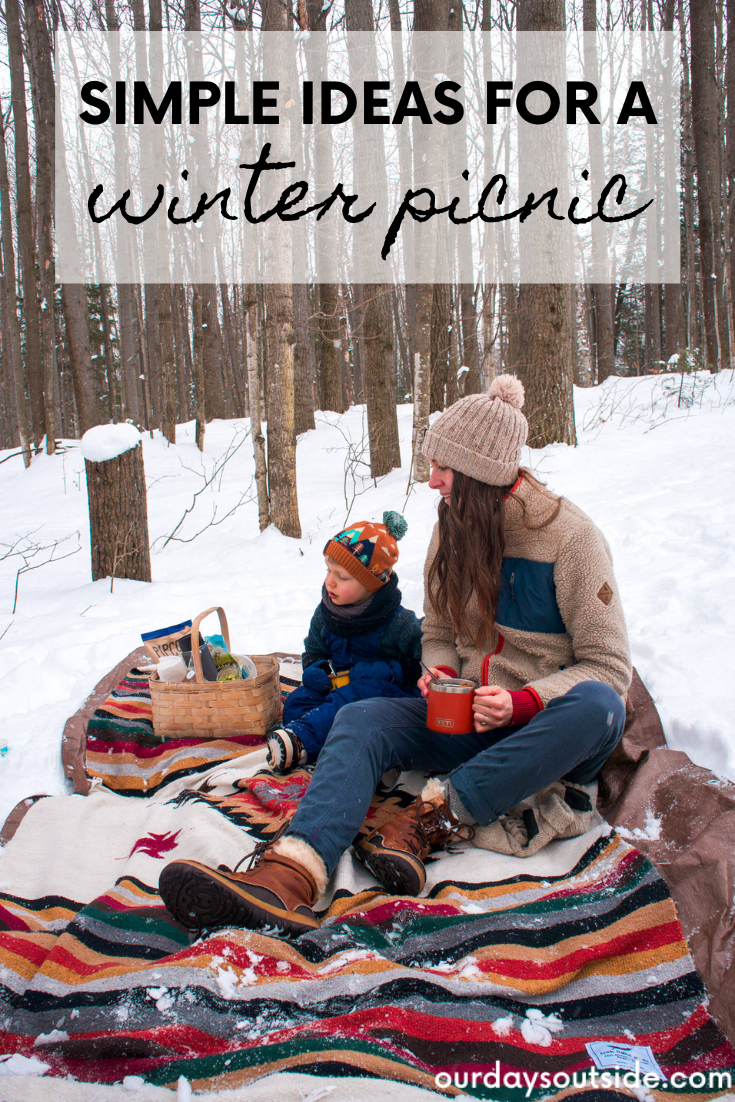 Picnic In Winter Ideas