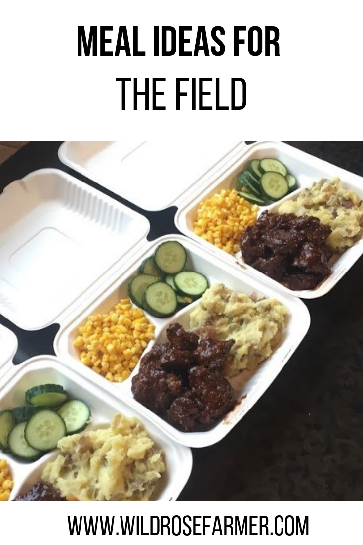 Lunch Ideas For Work Crew