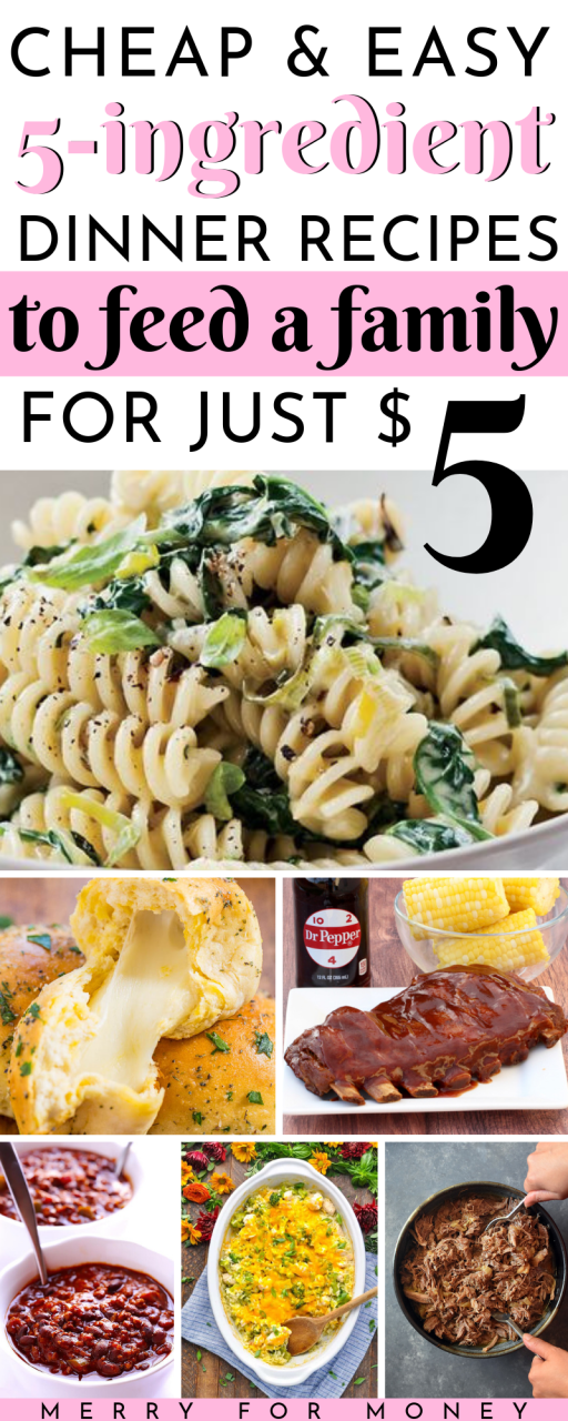 Cheap Dinner Ideas For 5