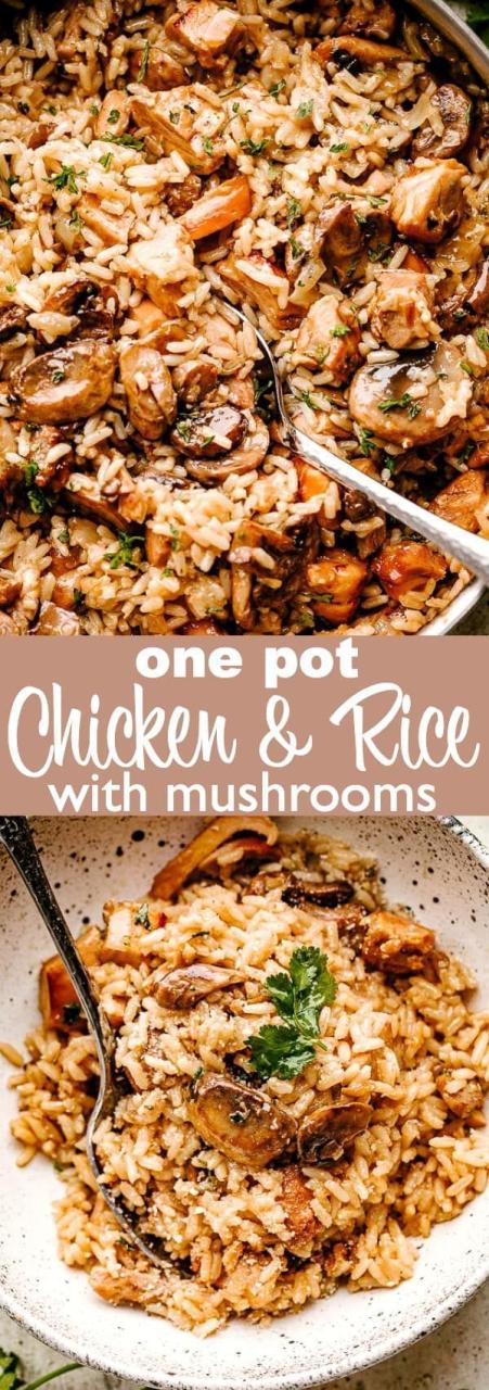 Easy Chicken Dishes With Rice