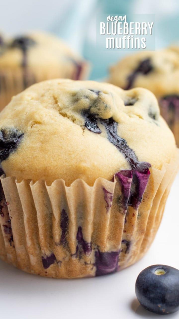 Easy Healthy Vegan Blueberry Muffins