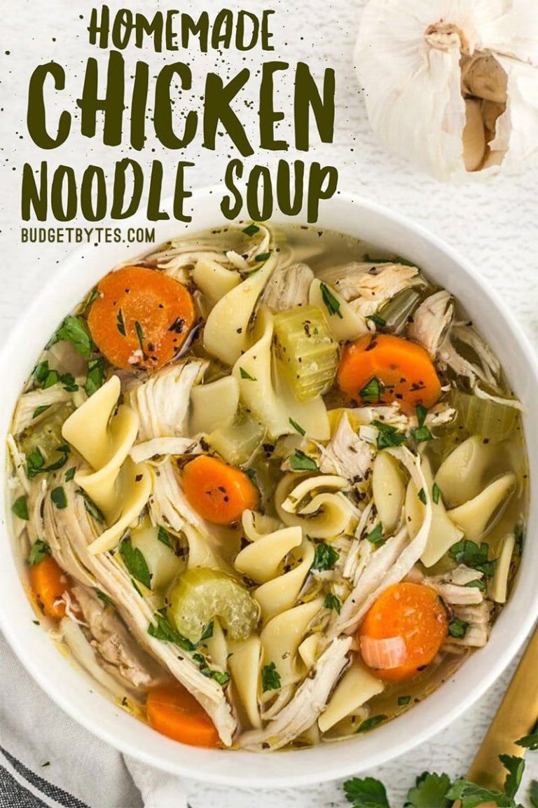 Budget Bytes Chicken Noodle Soup