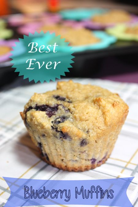 Low Fat Blueberry Muffins With Applesauce