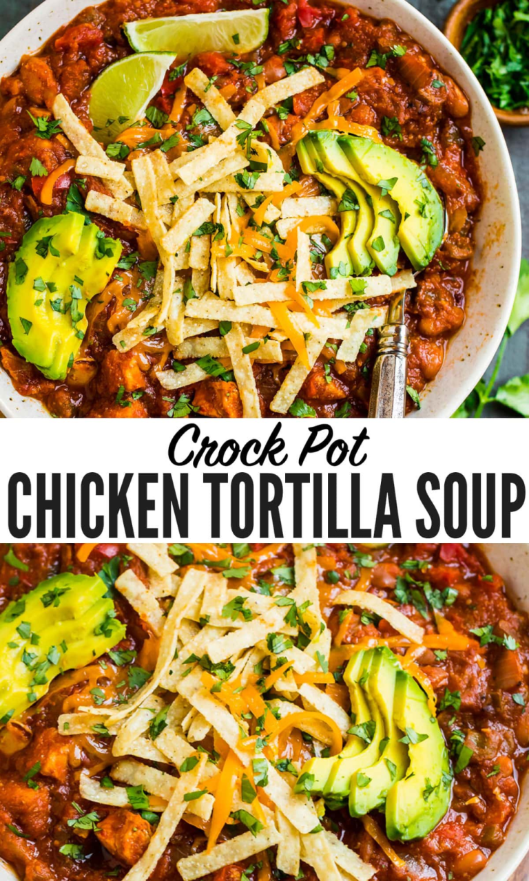 Healthy Crockpot Recipes Chicken Tortilla Soup