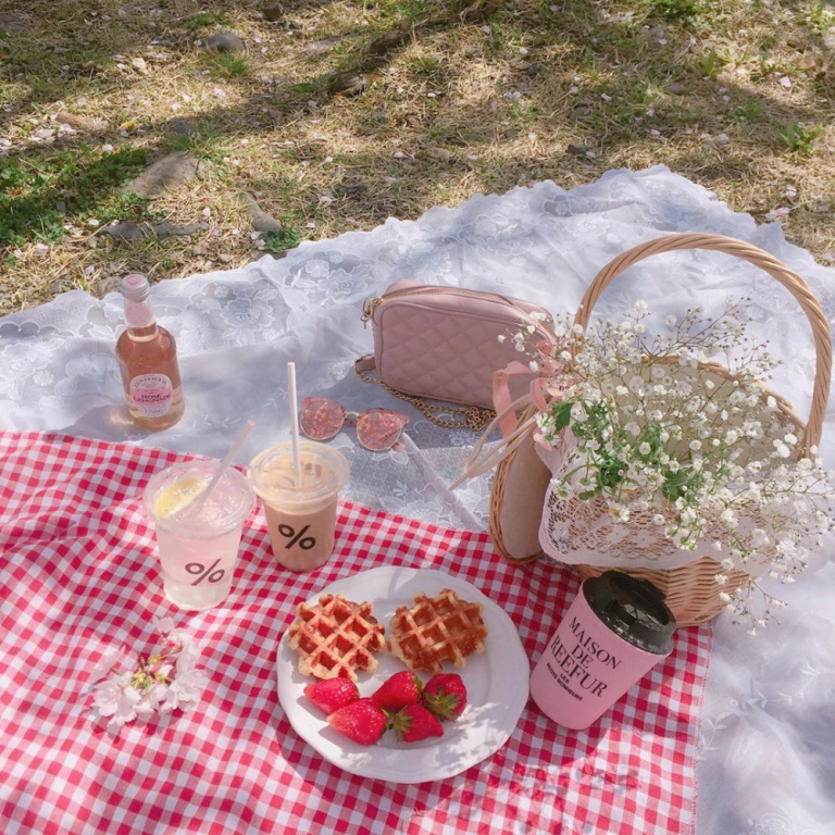 Picnic Pinterest Ideas