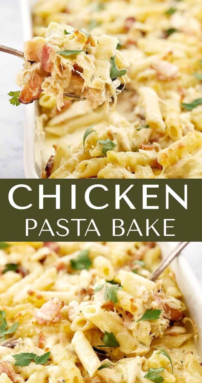 Leftover Rotisserie Chicken Recipes