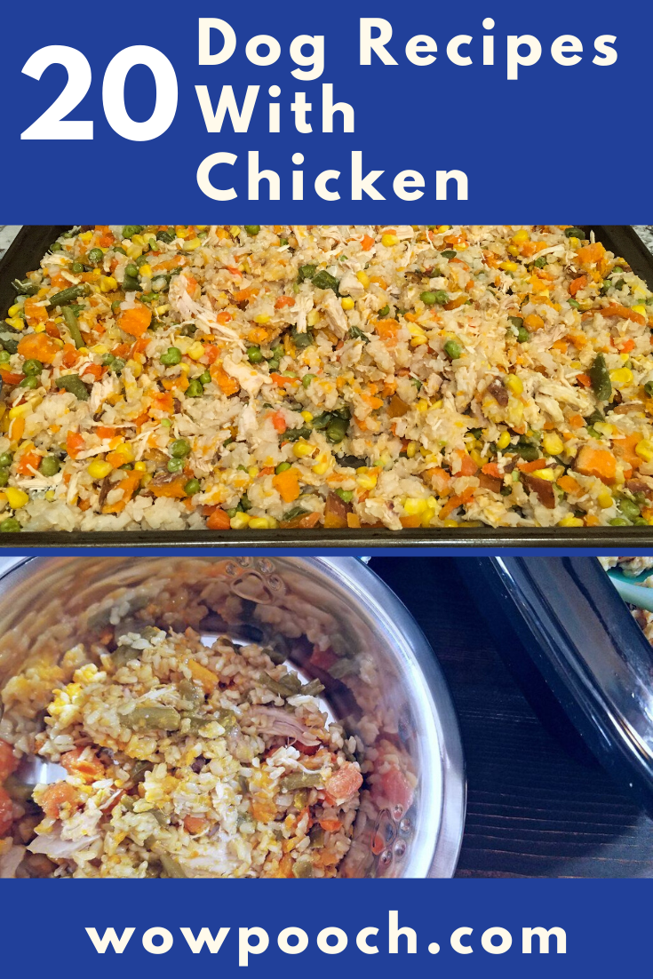 Healthy Dog Food Recipes With Chicken