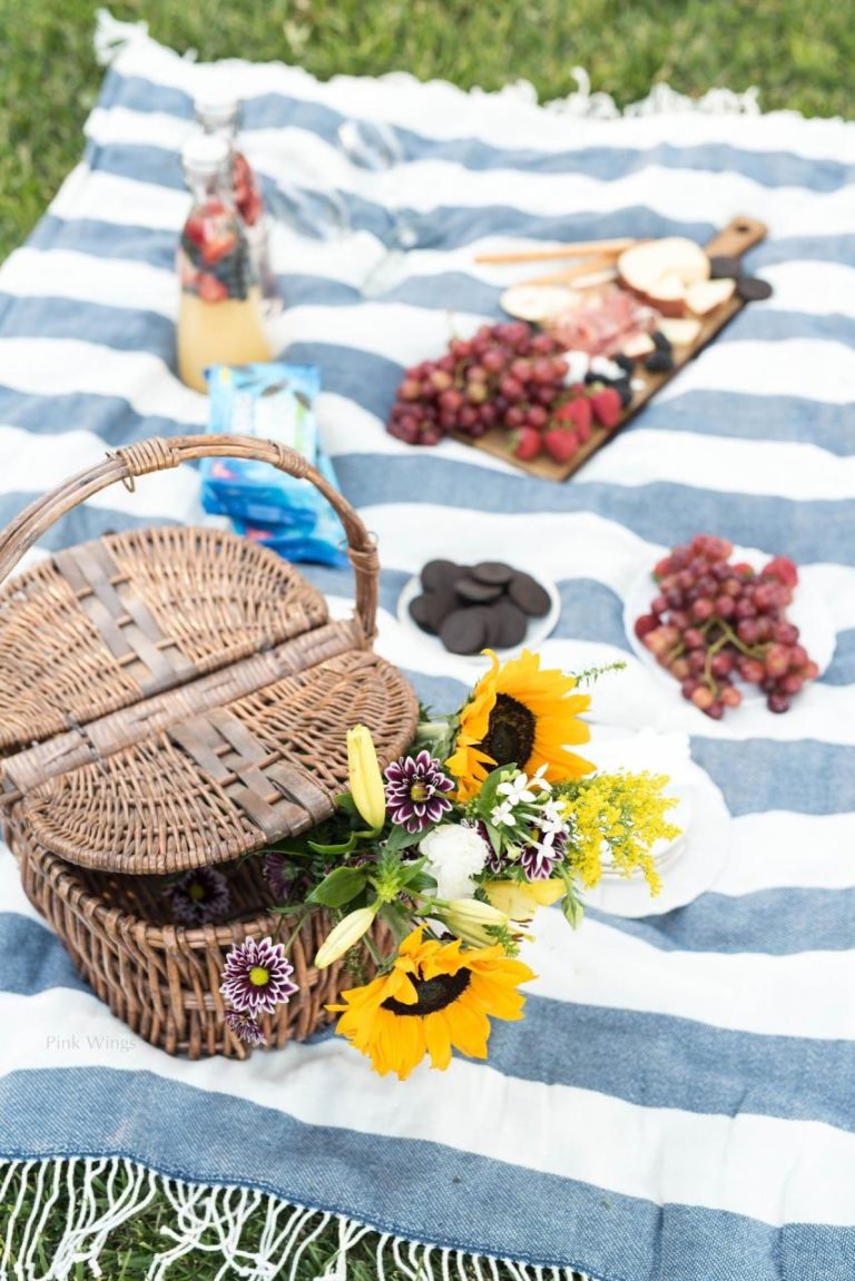 Cute Picnic Ideas For Couples