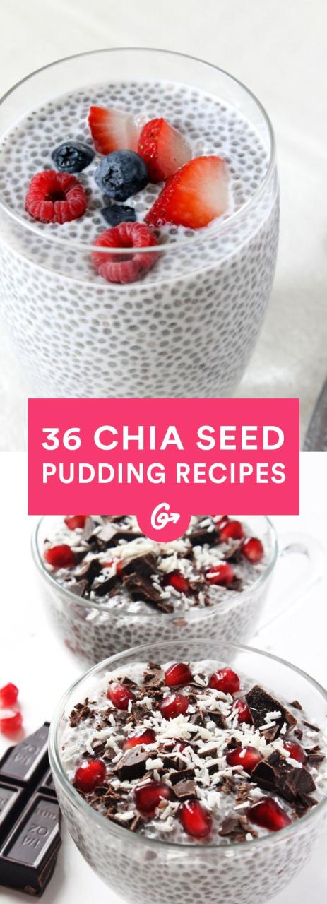 Healthy Chia Seed Pudding Recipes For Weight Loss