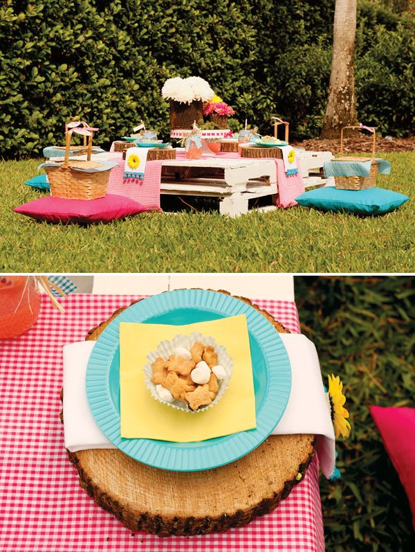 Girls Picnic Ideas